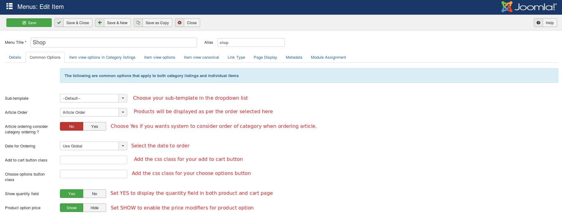 .Layout-common-options-tab