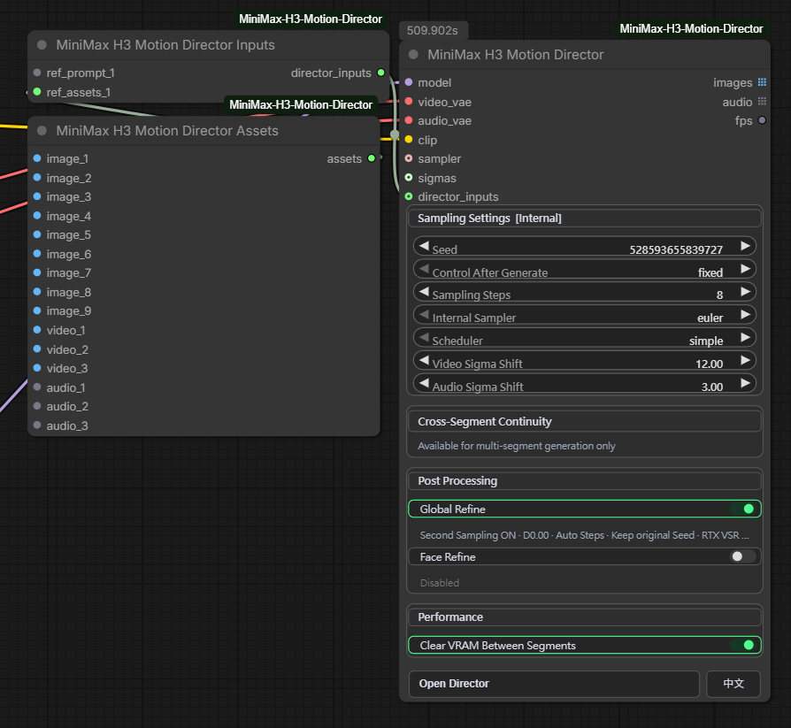 MiniMax H3 Motion Director — External Inputs and Assets