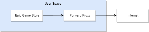 Forward Proxy