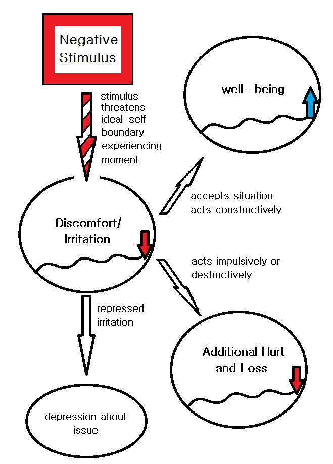 Diagram 11: Discomfort/Irritation