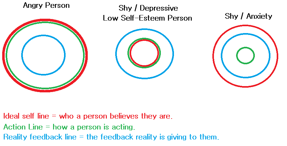 Diagram 1: Diagram 9: Ideal self, Action, and Reality Feedback Boundaries