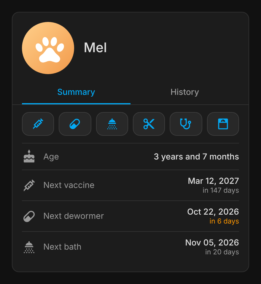 Card HA Pet Care, aba Resumo, tema escuro