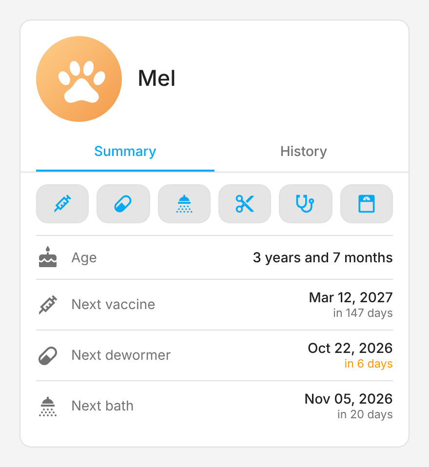Card HA Pet Care, aba Resumo, tema claro