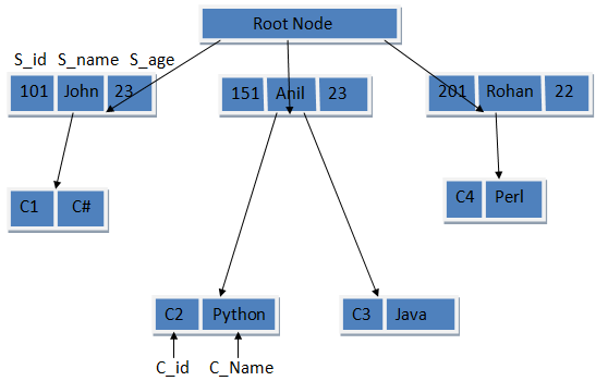 Diagram of a hierarchical database structure