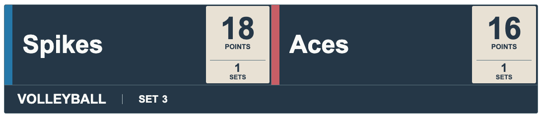 Basalt Bone Scorefoot — VOLLEYBALL Horizontal lower-third