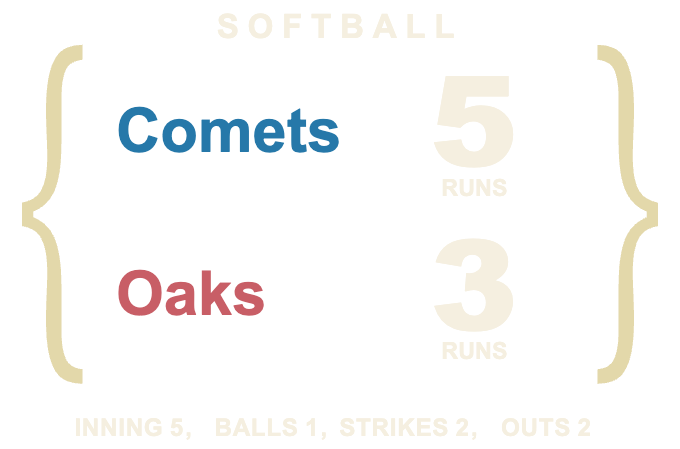 Brace Register — SOFTBALL Aligned rows