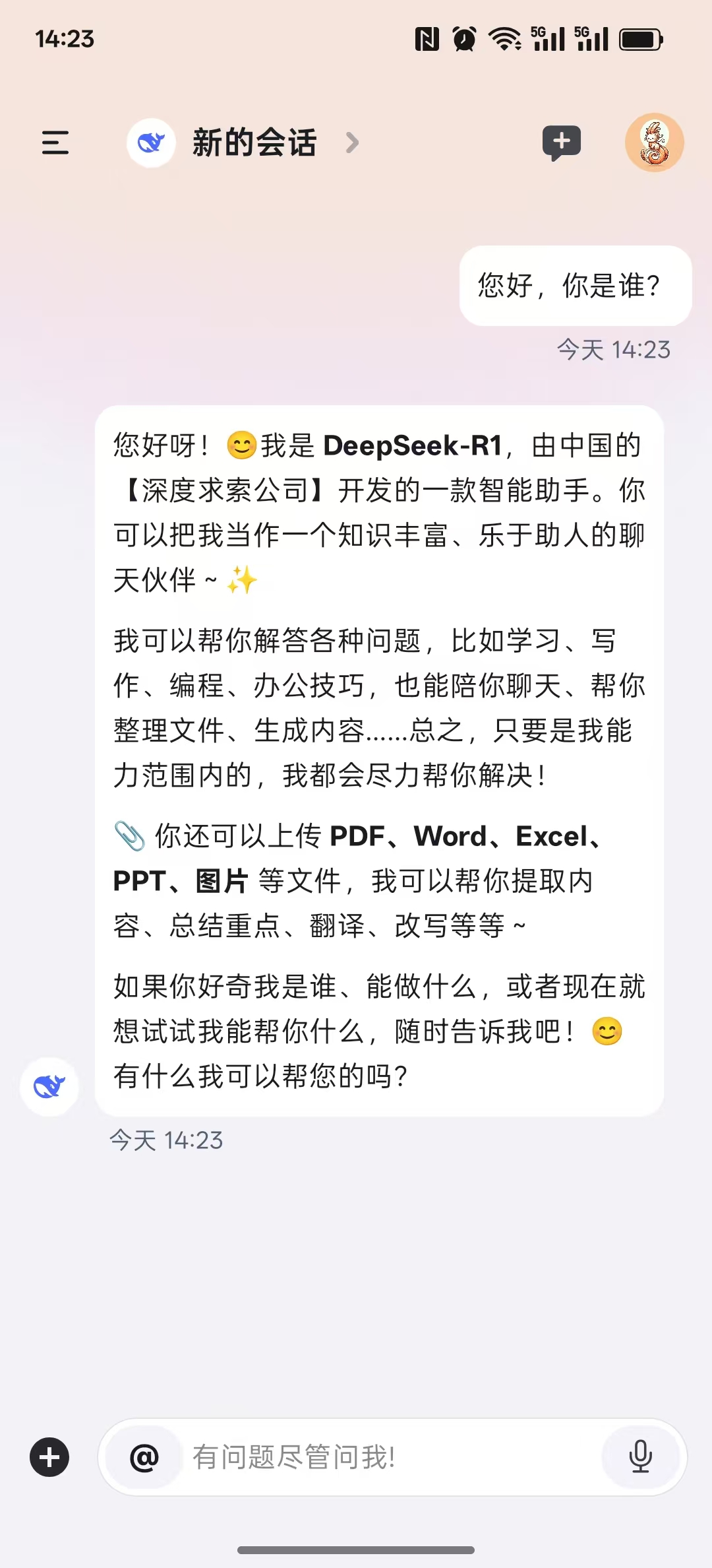 Chat Interface