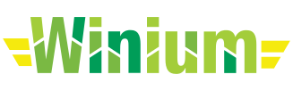 Winium is Selenium Remote WebDriver implementations for automated testing on Windows platforms