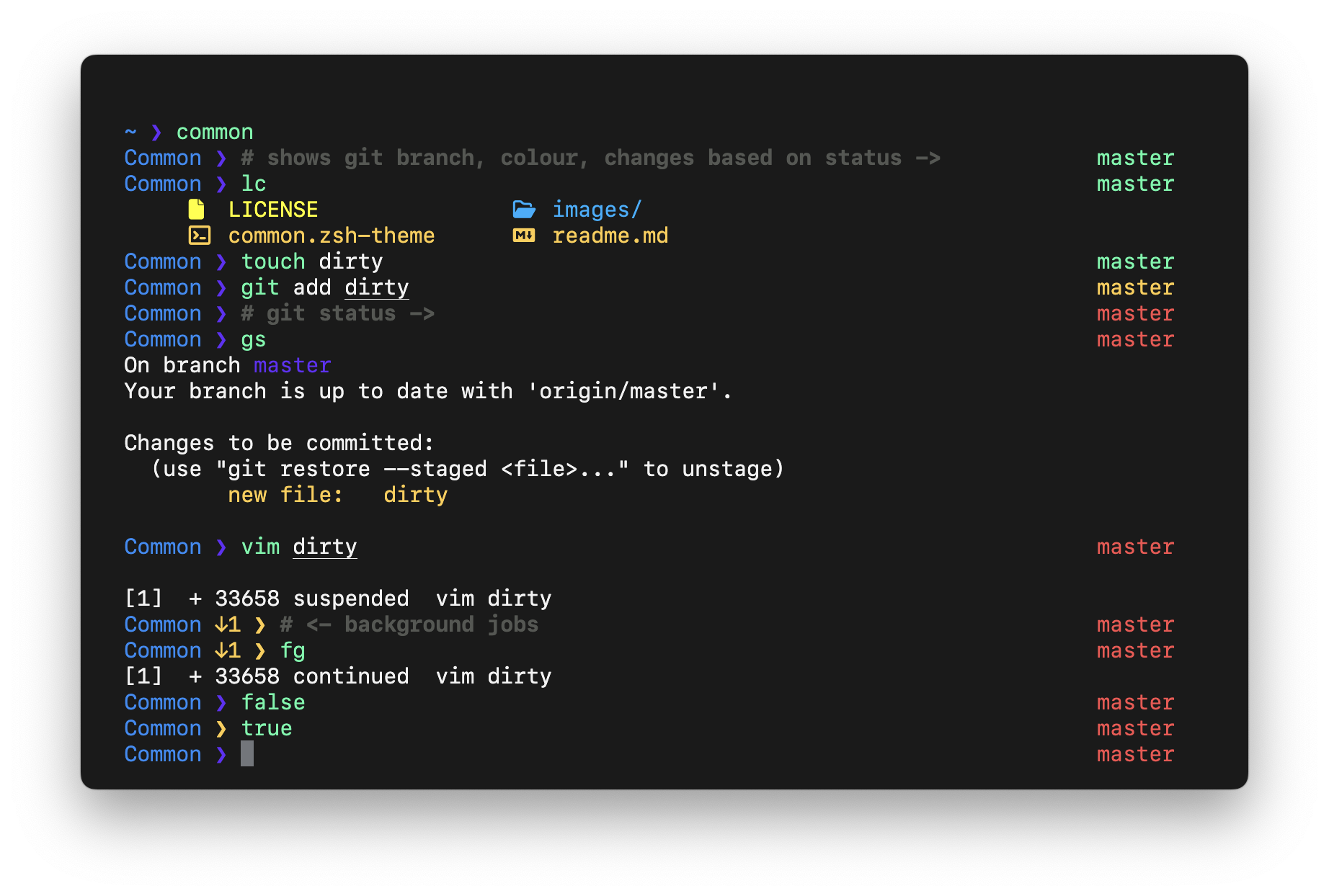 Common prompt screenshot