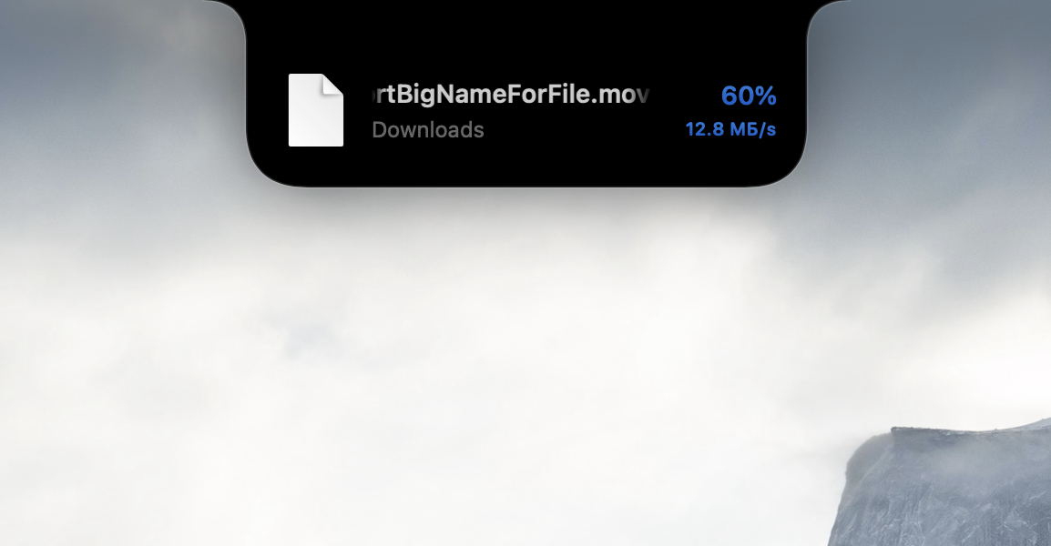 Downloads