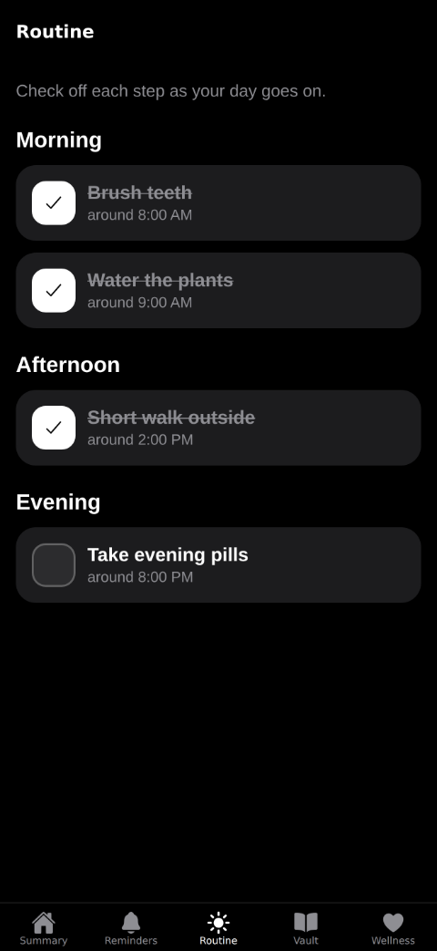 The Routine screen: morning, afternoon, and evening steps with large checkboxes.