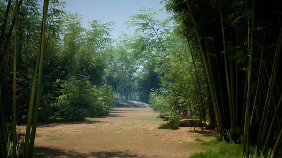 国风野外竹林场景 封面