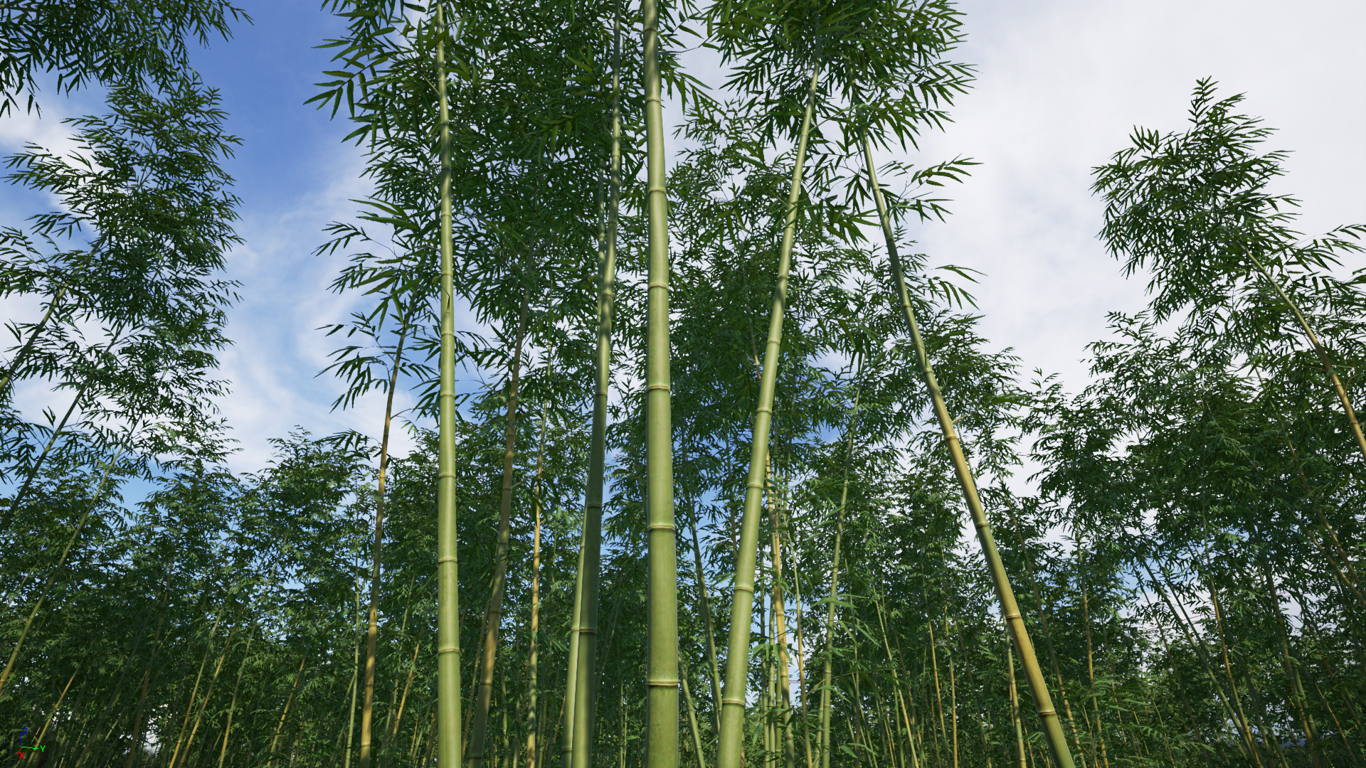 Bamboo_Pack