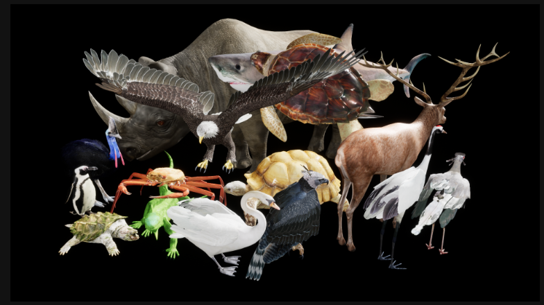 Complete Animals 封面