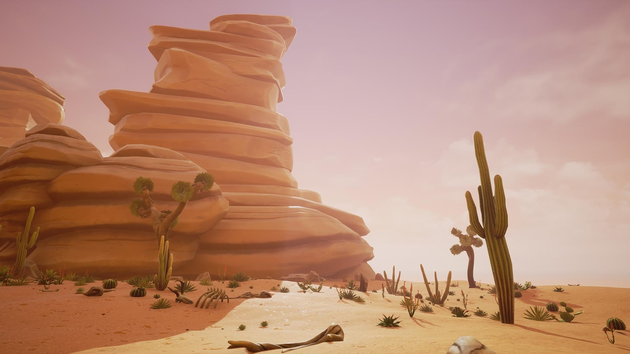 Desert Environment 封面
