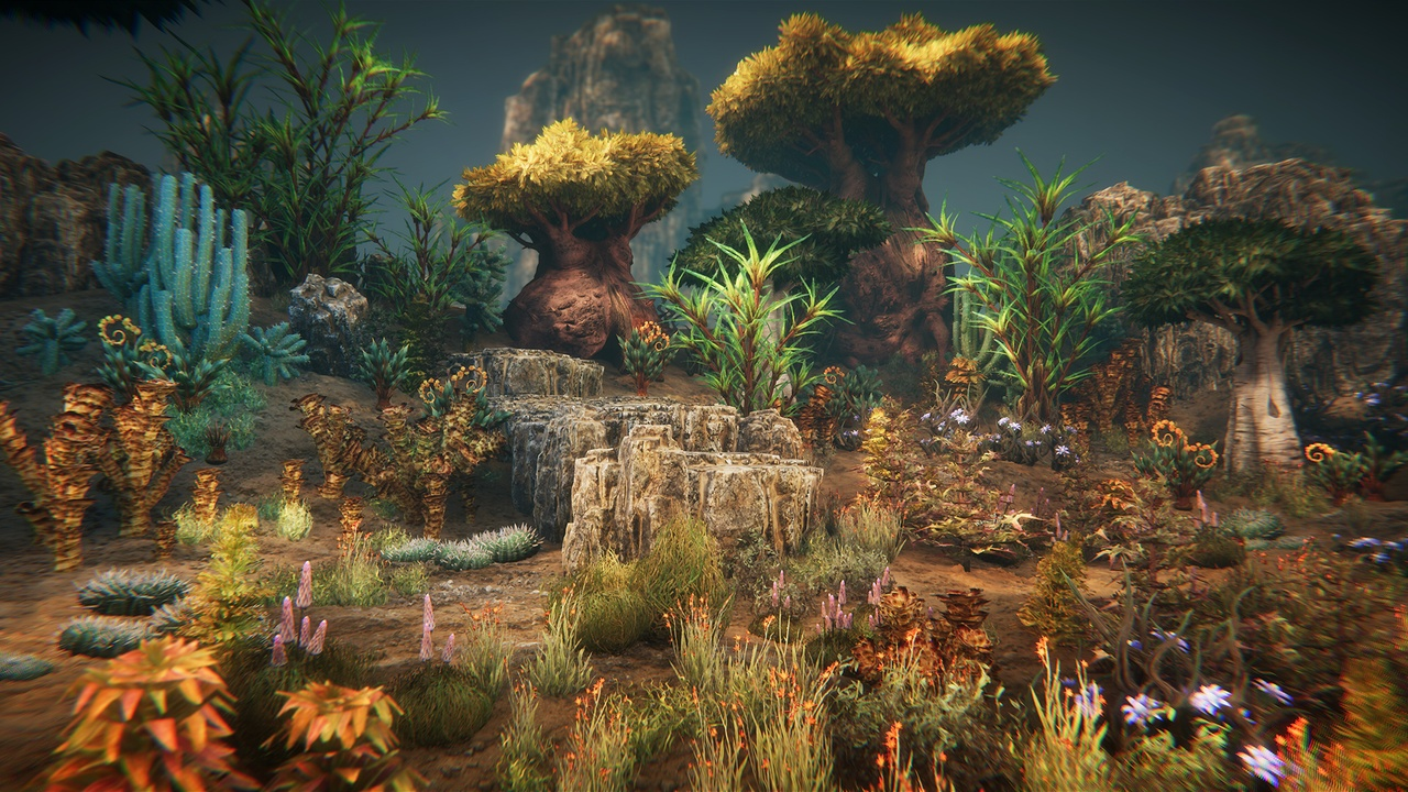 Desert plants 封面