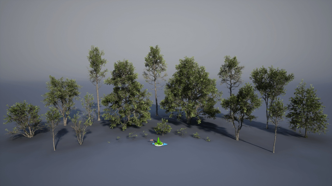 European Black Alder 封面