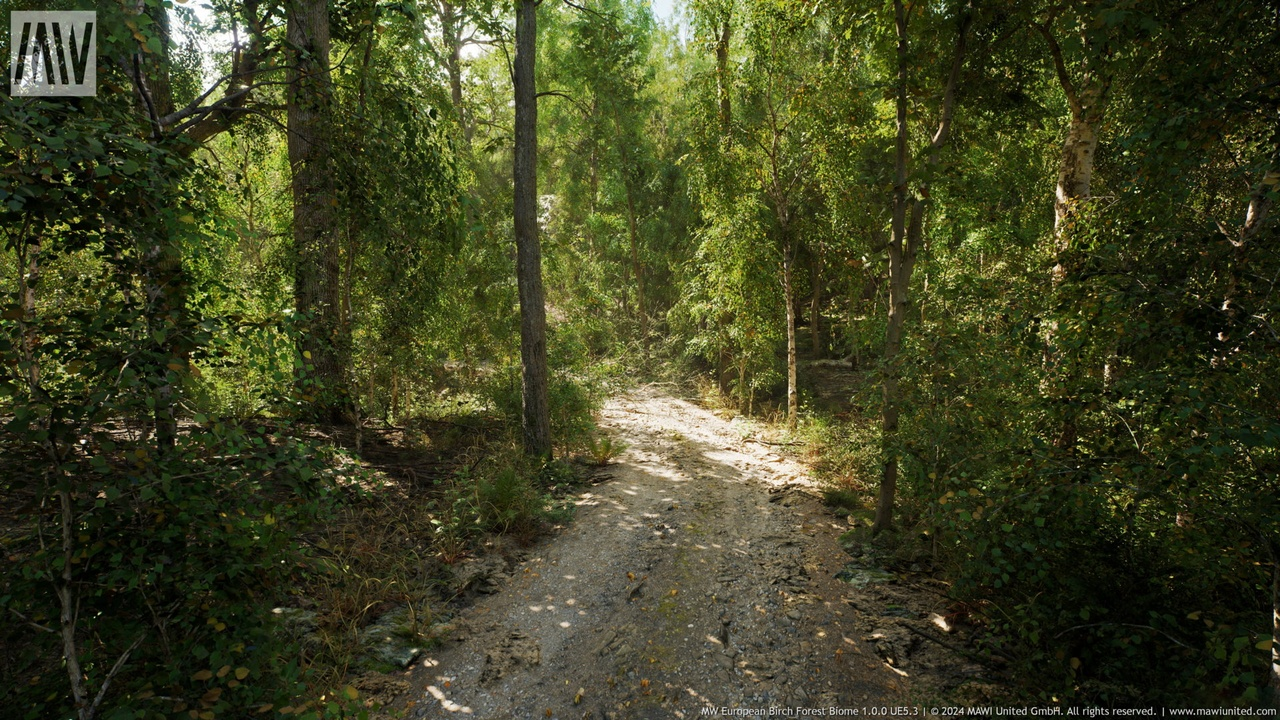 MW Birch Forest Trees Biom 封面