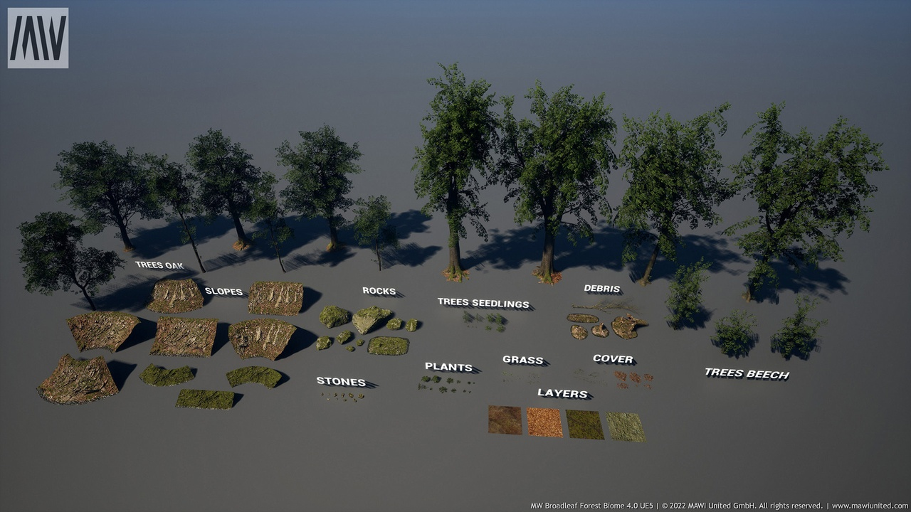 MW Broadleaf Forest Trees Biome 封面