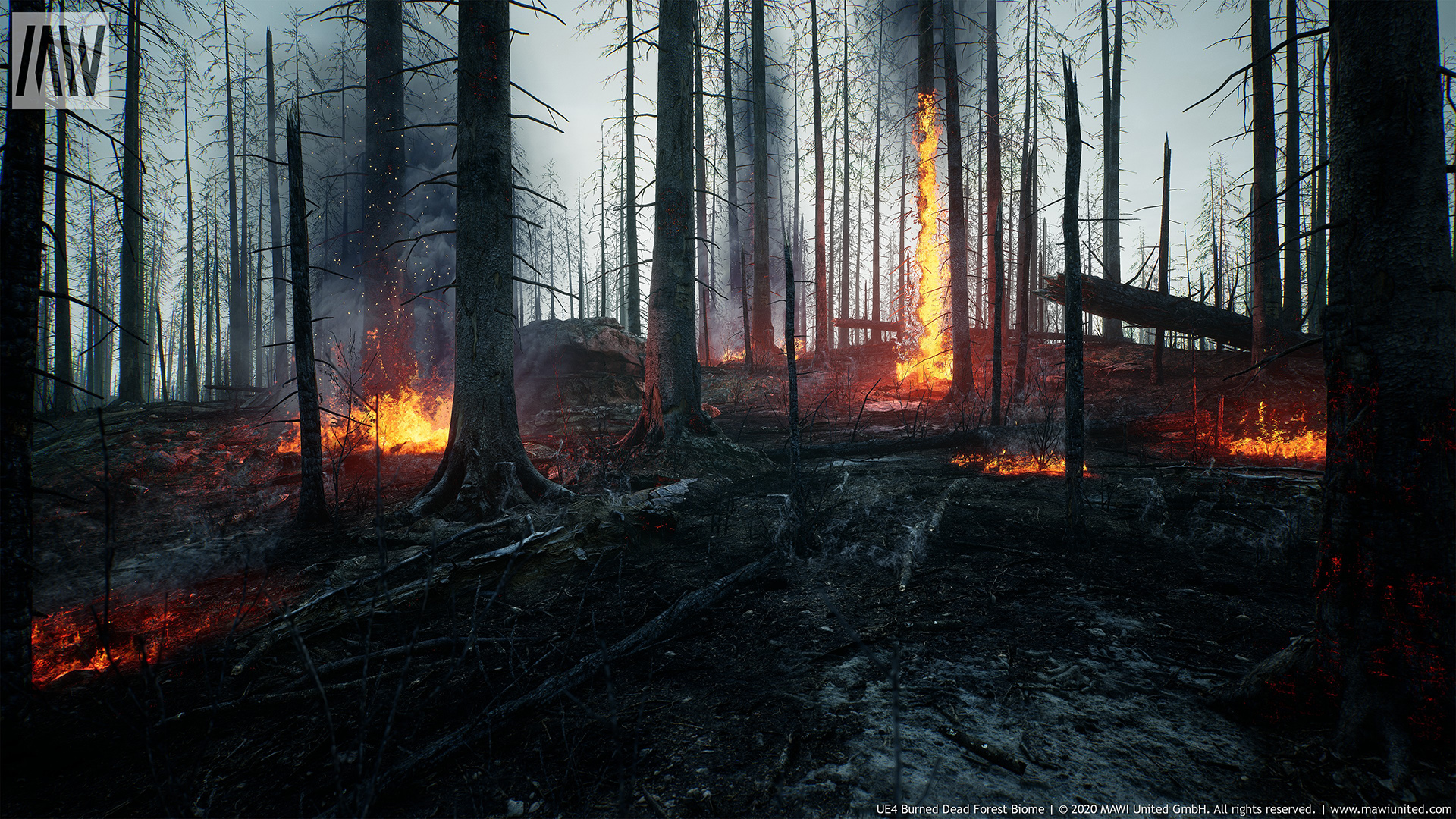 MW Burned Dead Trees Forest Biome