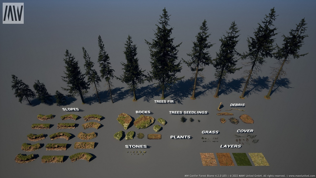 MW Conifer Forest Trees Biome 封面