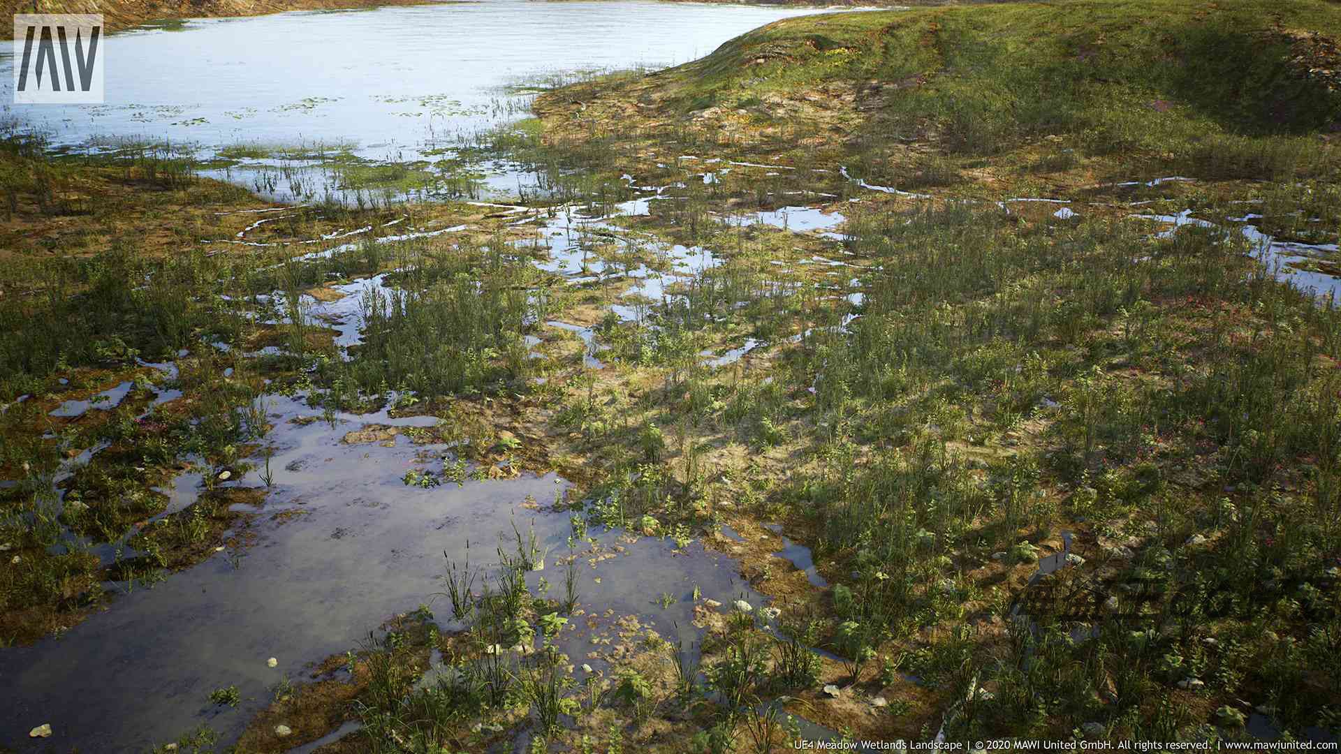 MW Meadow Wetlands Landscape