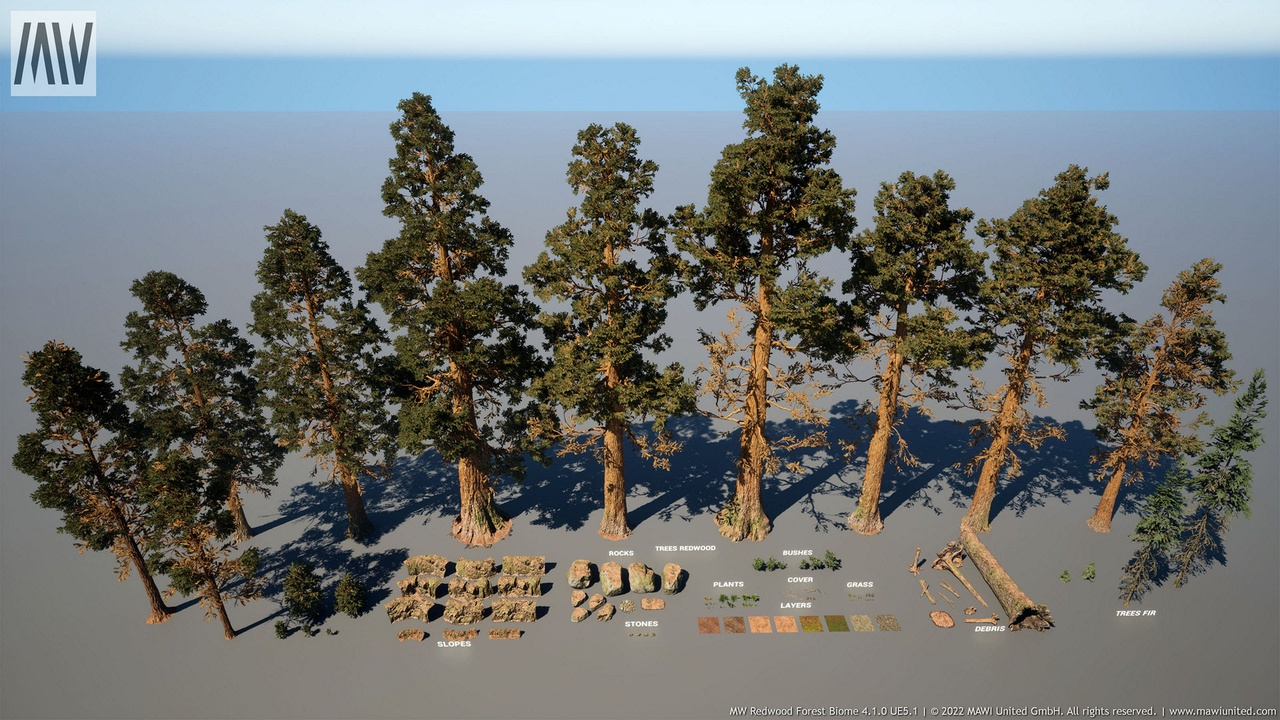 MW Redwood Forest Trees Biome 封面