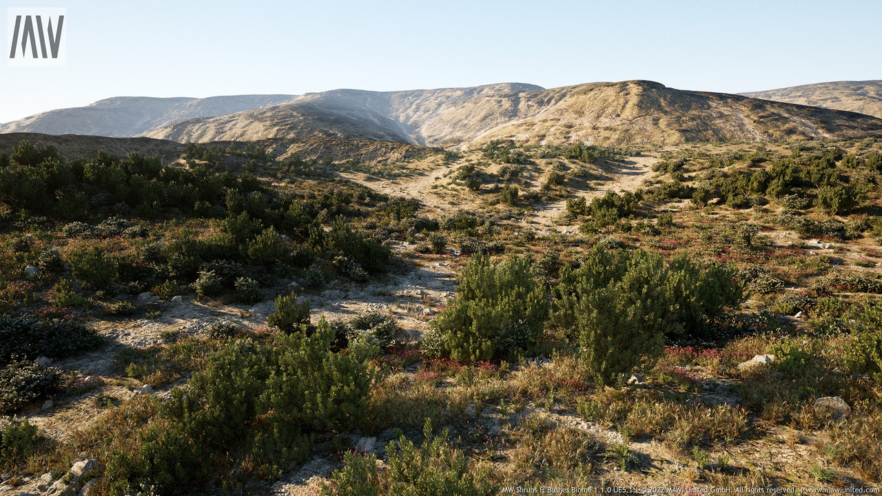 MW Shrubs & Bushes Biome 封面