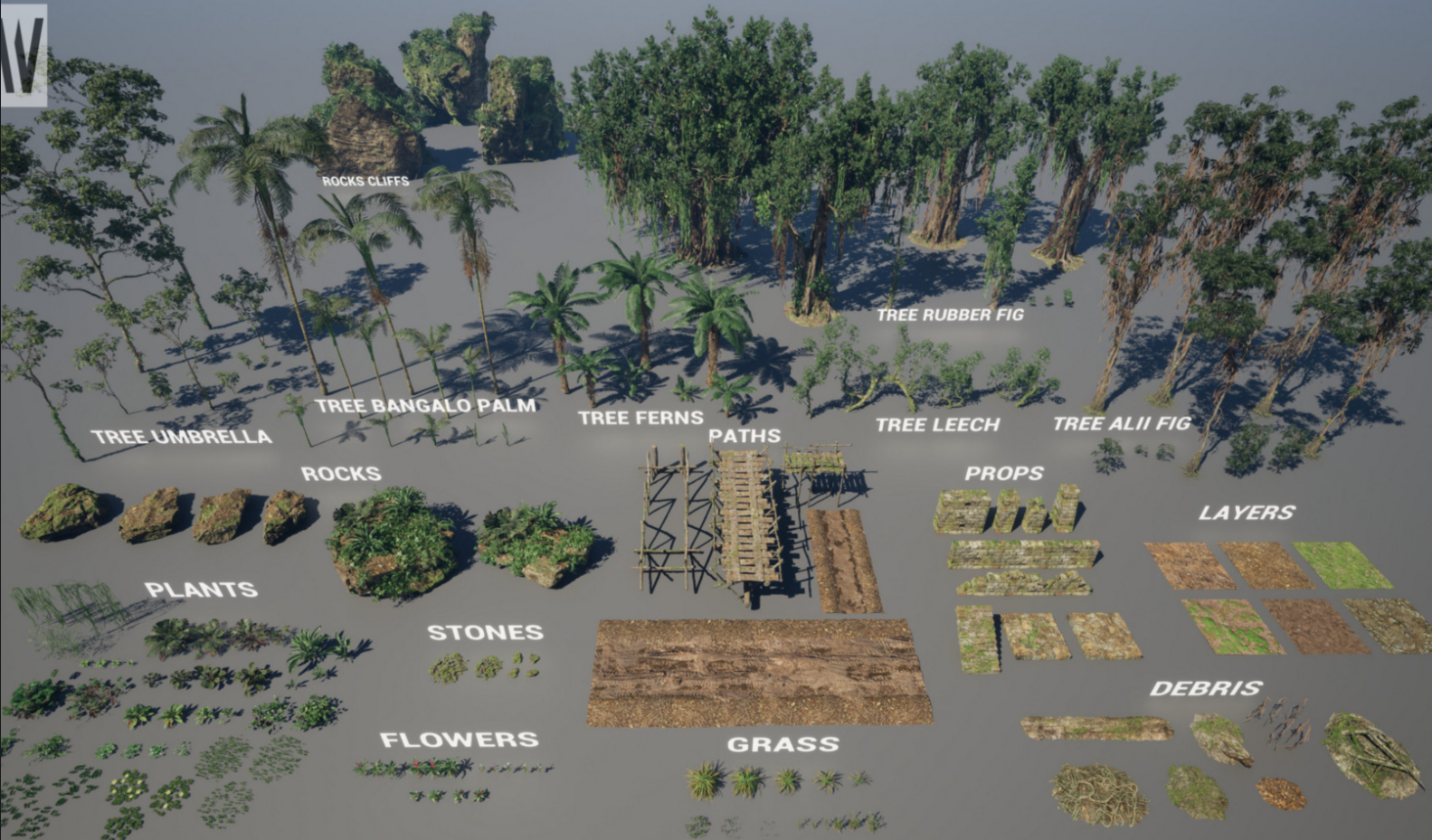 MW Tropical Rainforest Trees Biome 封面