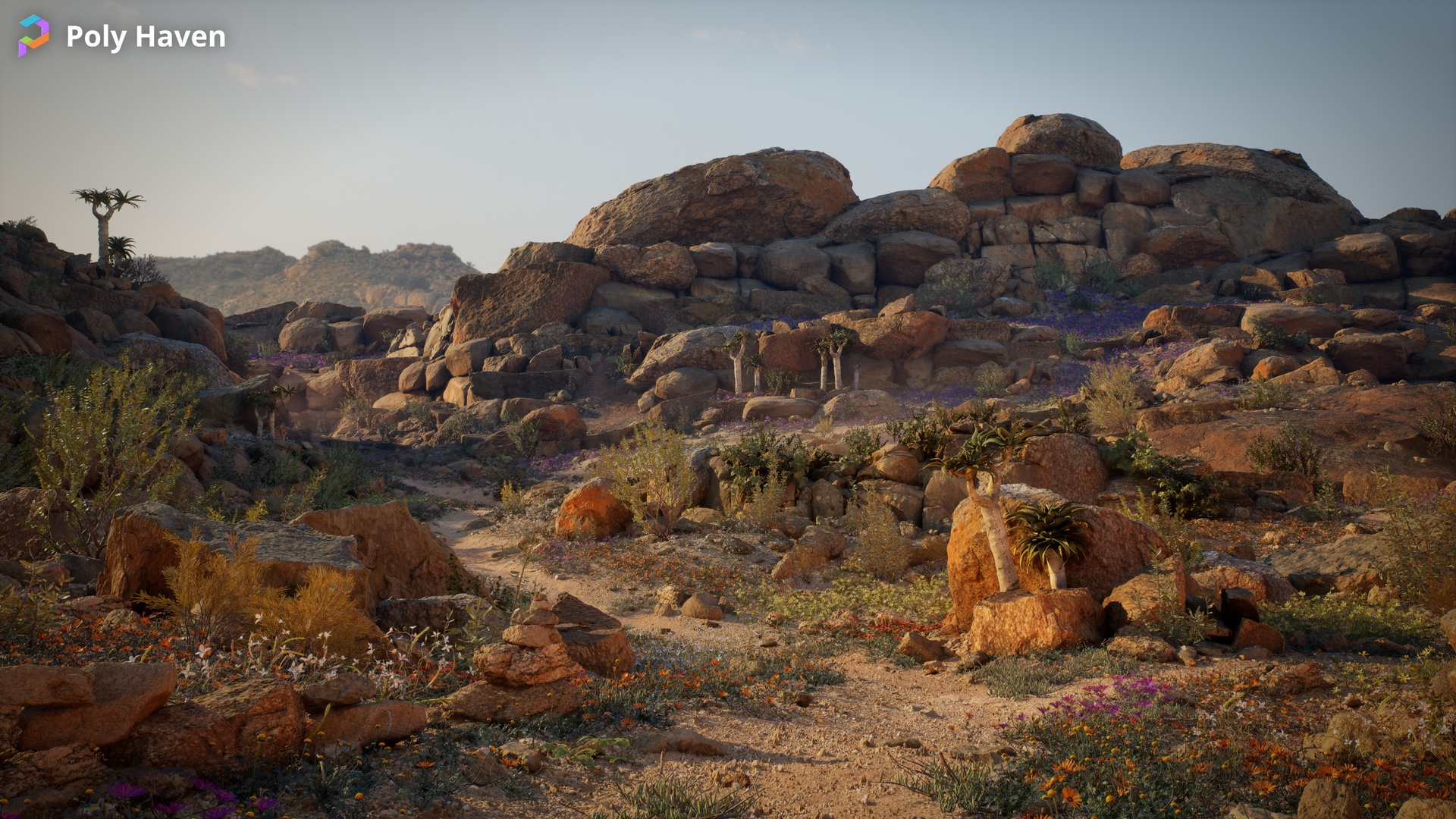 Namaqualand Environment and Asset Pack