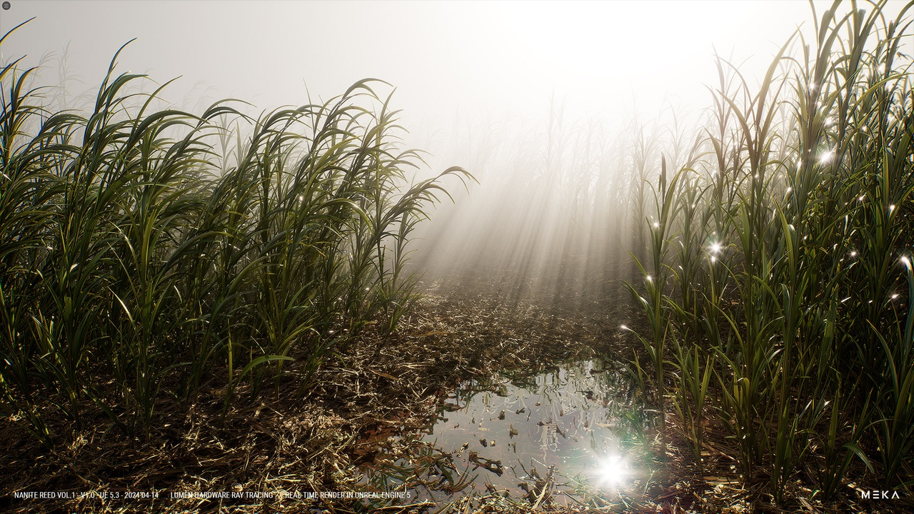 Nanite Reed Vol.1 封面