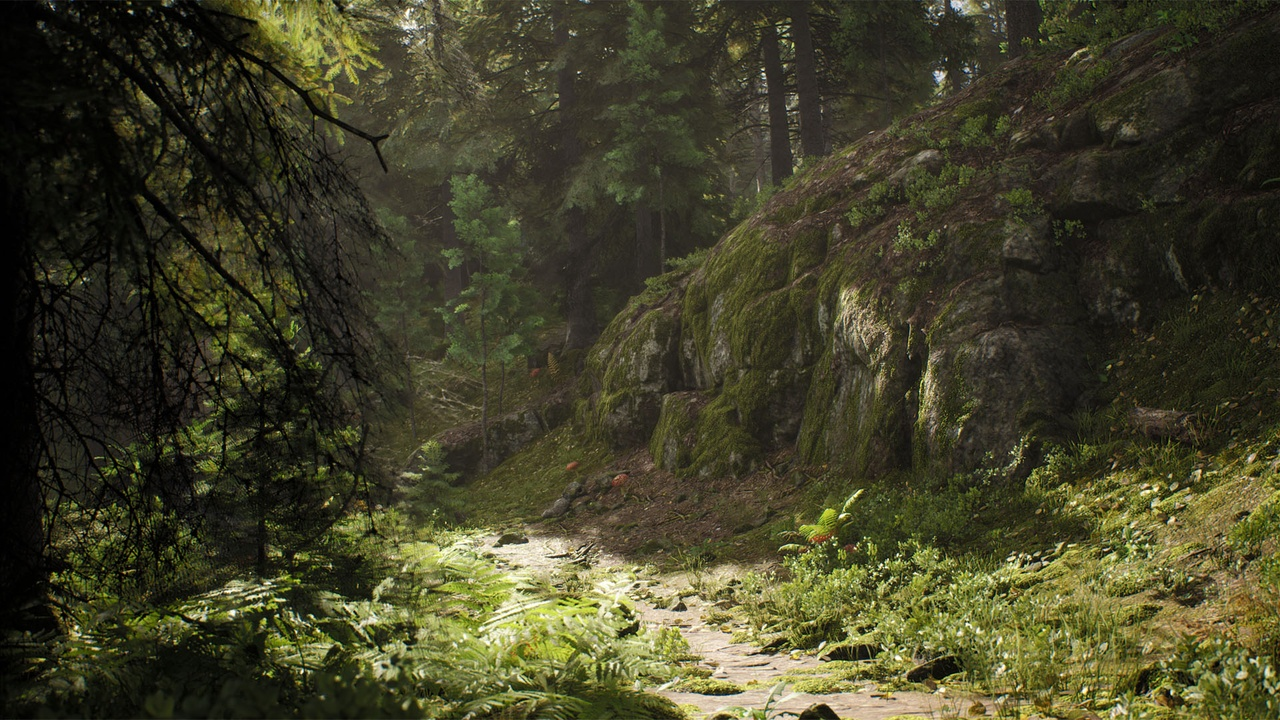 NordicConiferBiome 封面