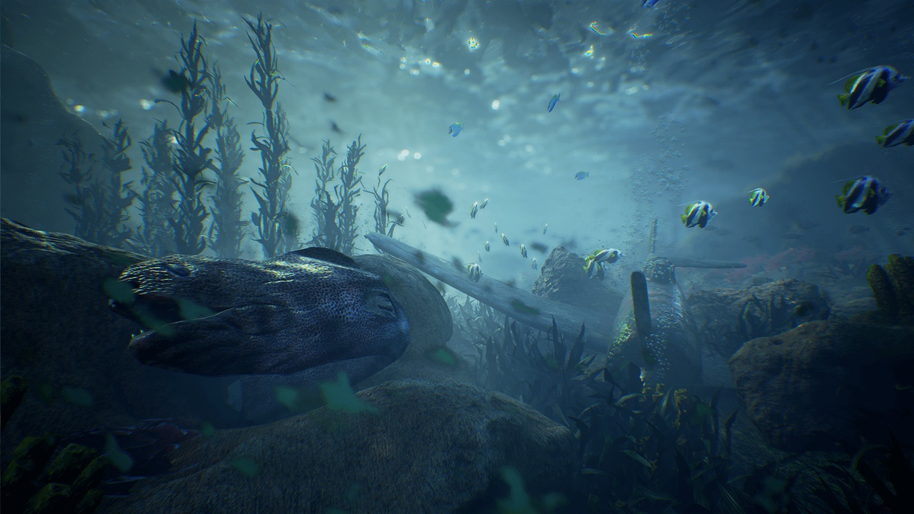 Ocean Floor Environment 封面