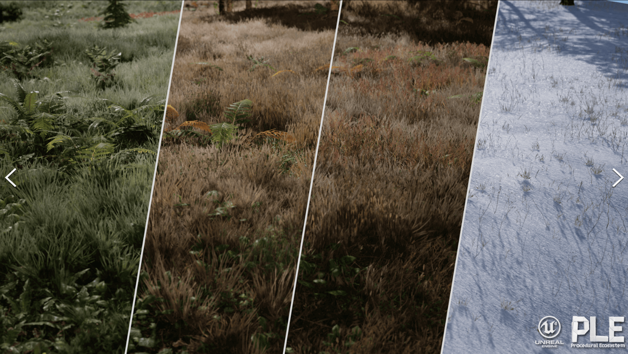 PLE - Procedural Landscape Ecosystem
