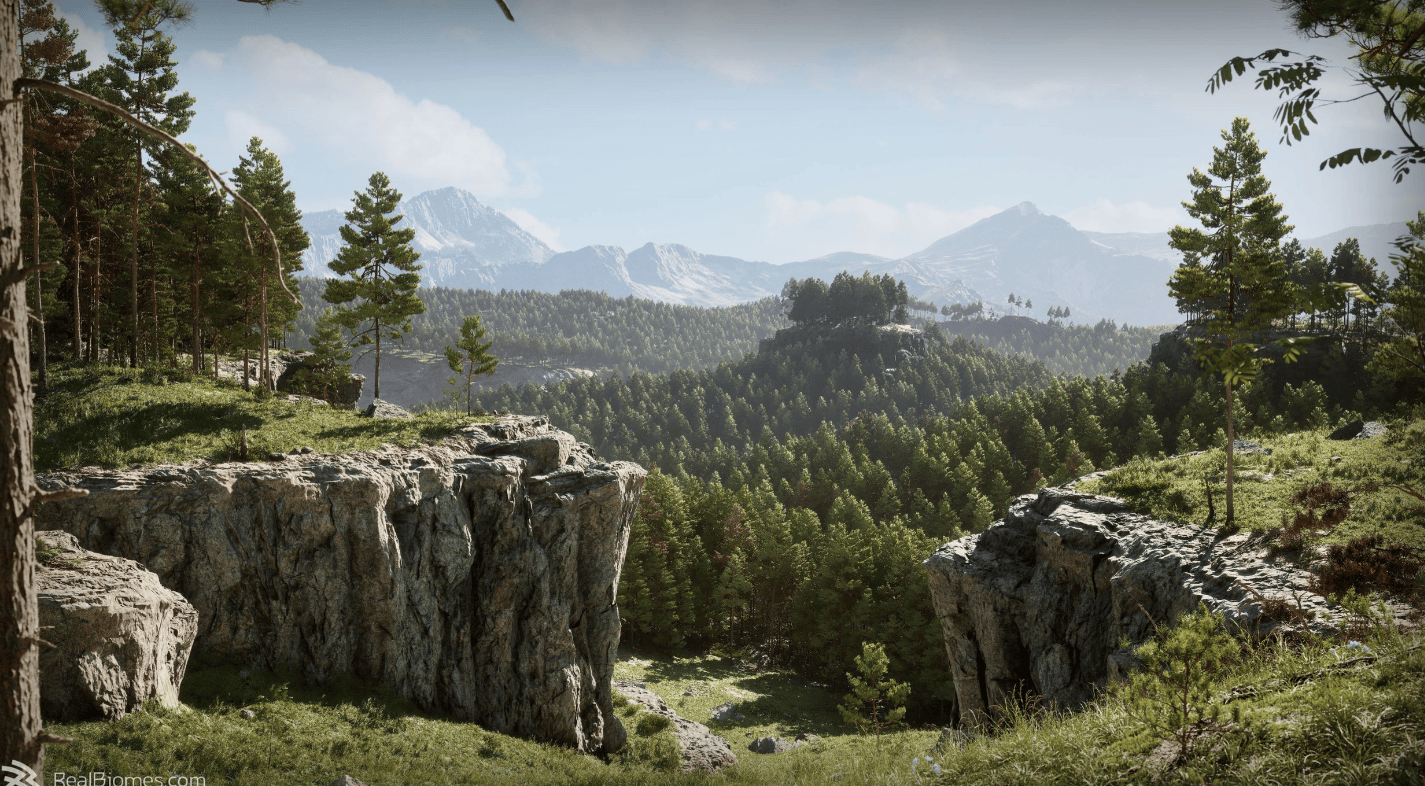 RealBiomes