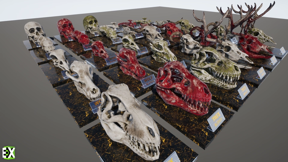 Skull And Bones Vol.1