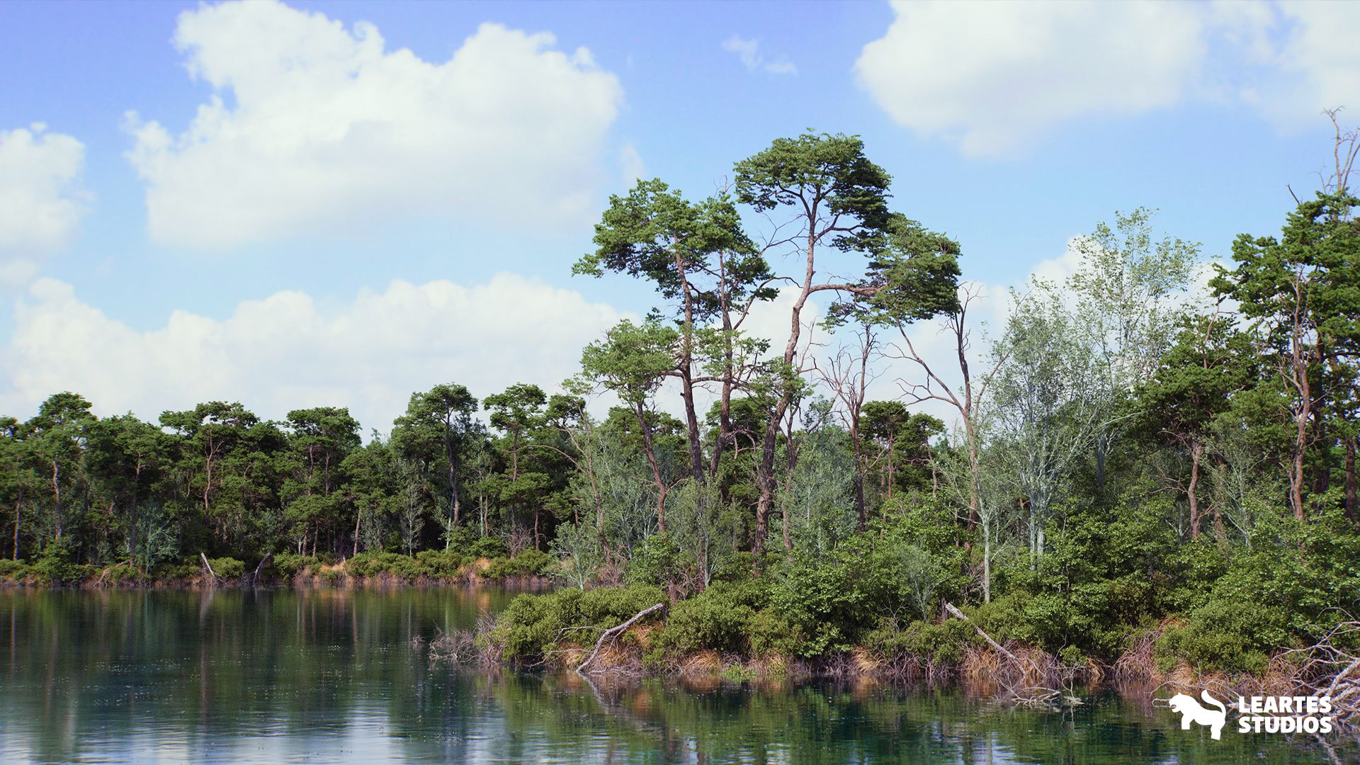 The Pine Environment 封面