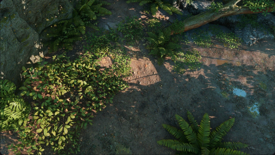 Tropical_Jungle_Pack 封面