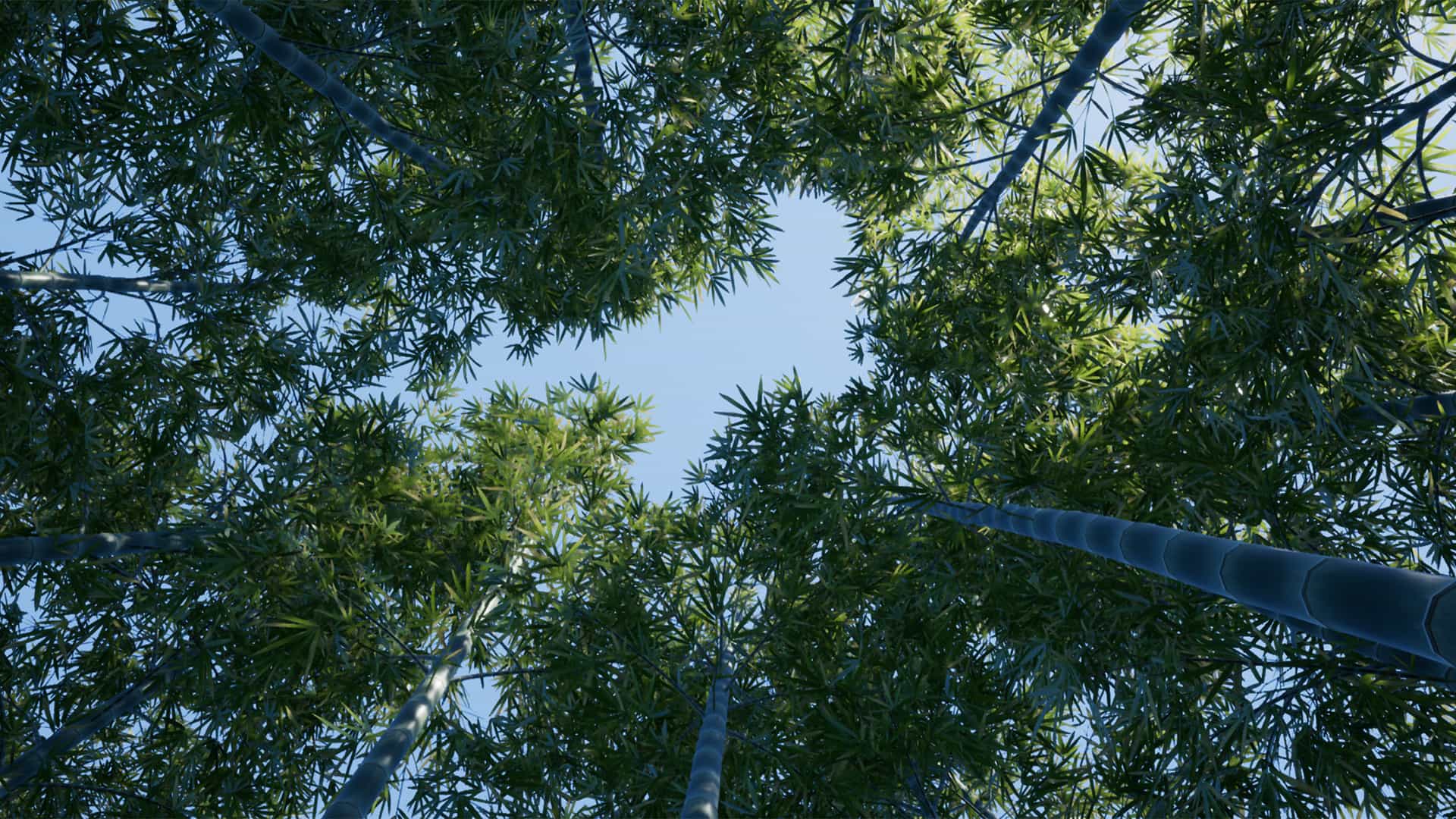 XBH_Vegetation 封面