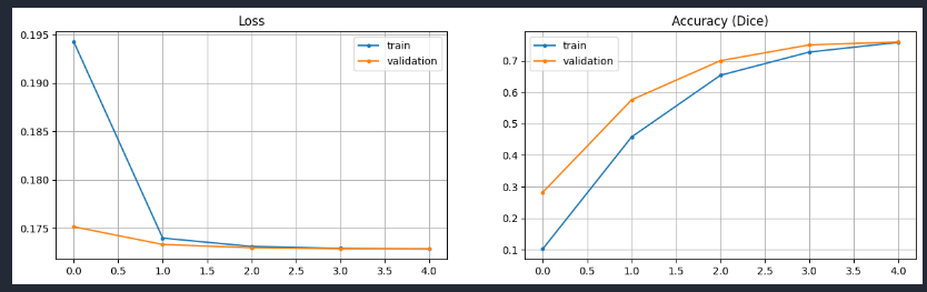 Loss function chosen plot