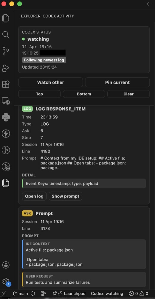 Expanded activity details with split IDE context and user request blocks