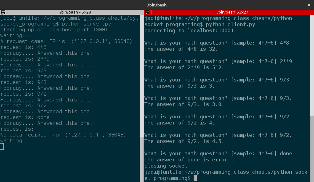 python socket programming screenshot
