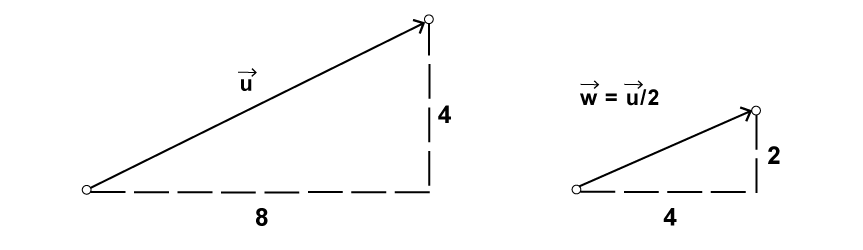 Figure 1.9: Scaling a vector