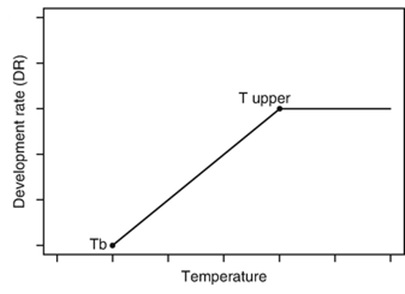 linear_graph