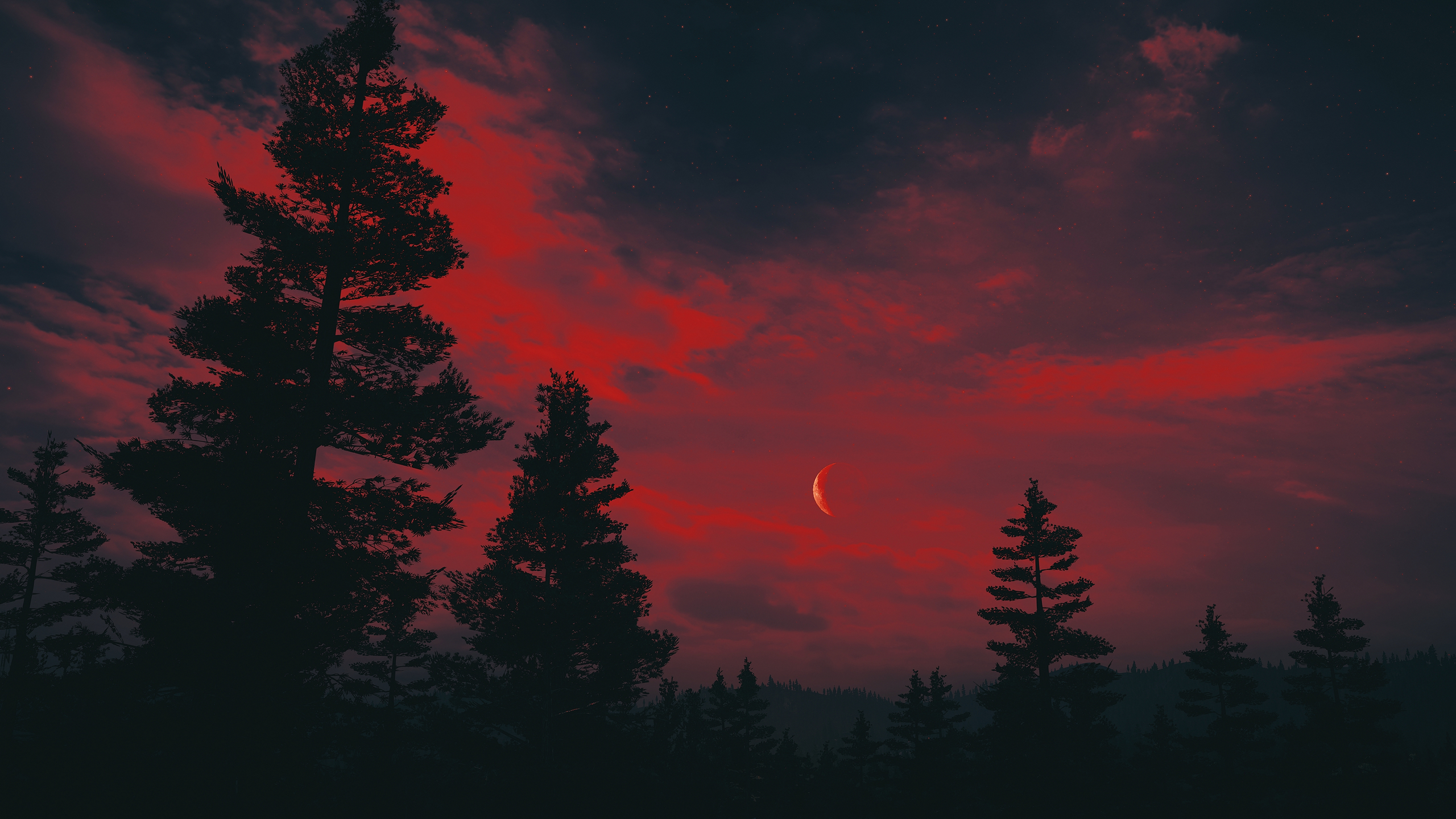 Red sky over pines