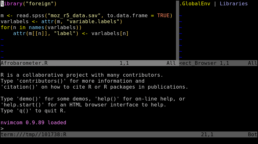 R and vim in tmux