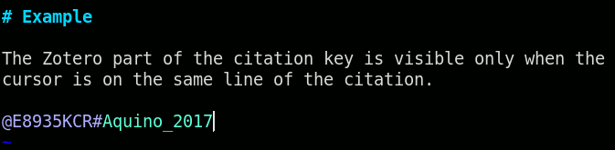 Citation key highligting