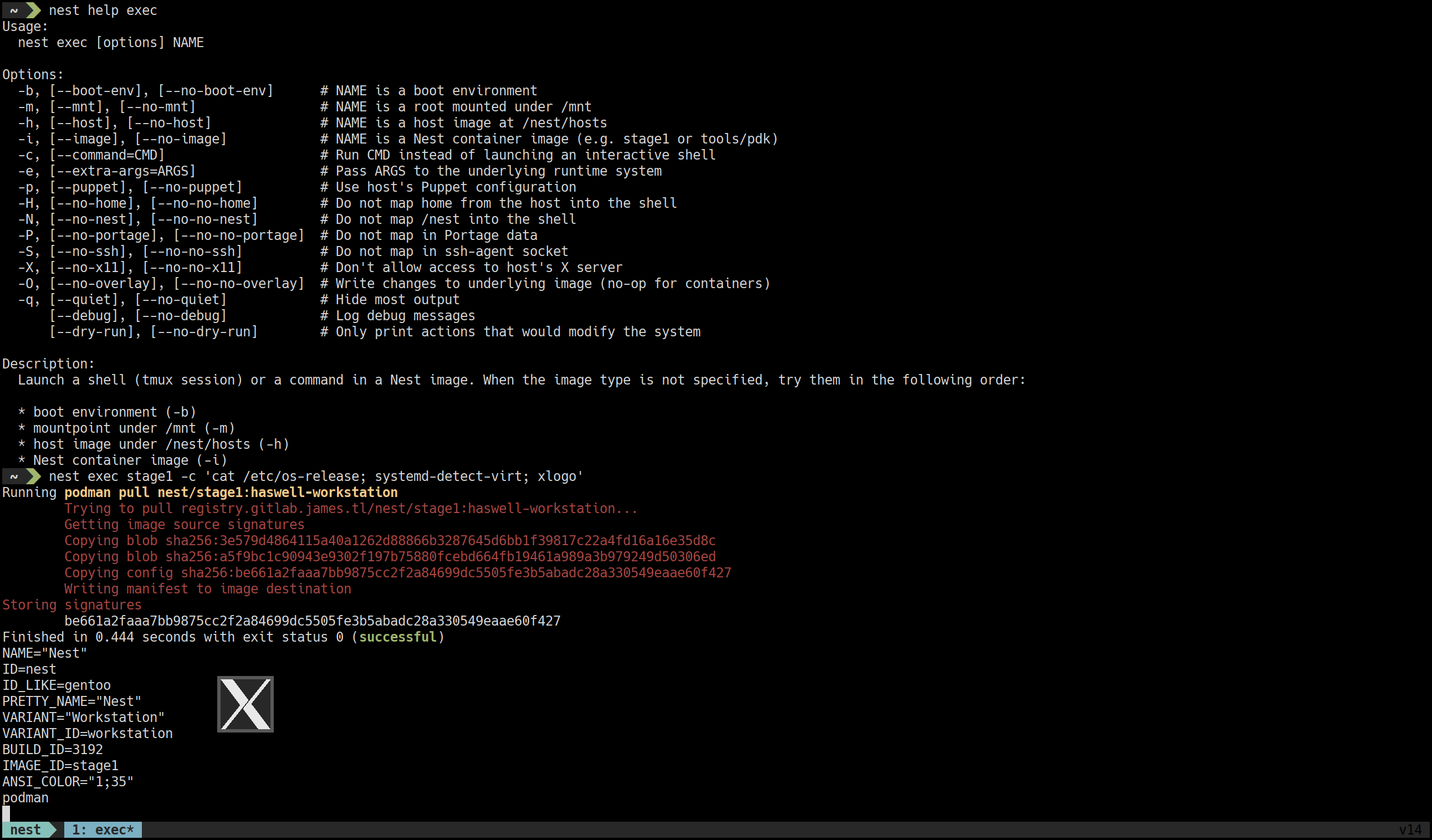 Nest CLI Exec Screenshot