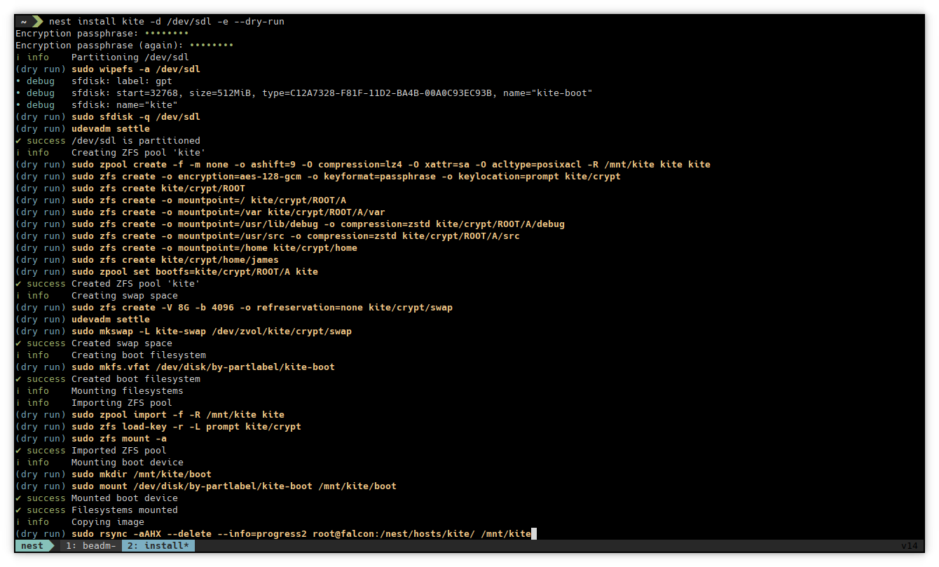 Nest CLI Install Screenshot