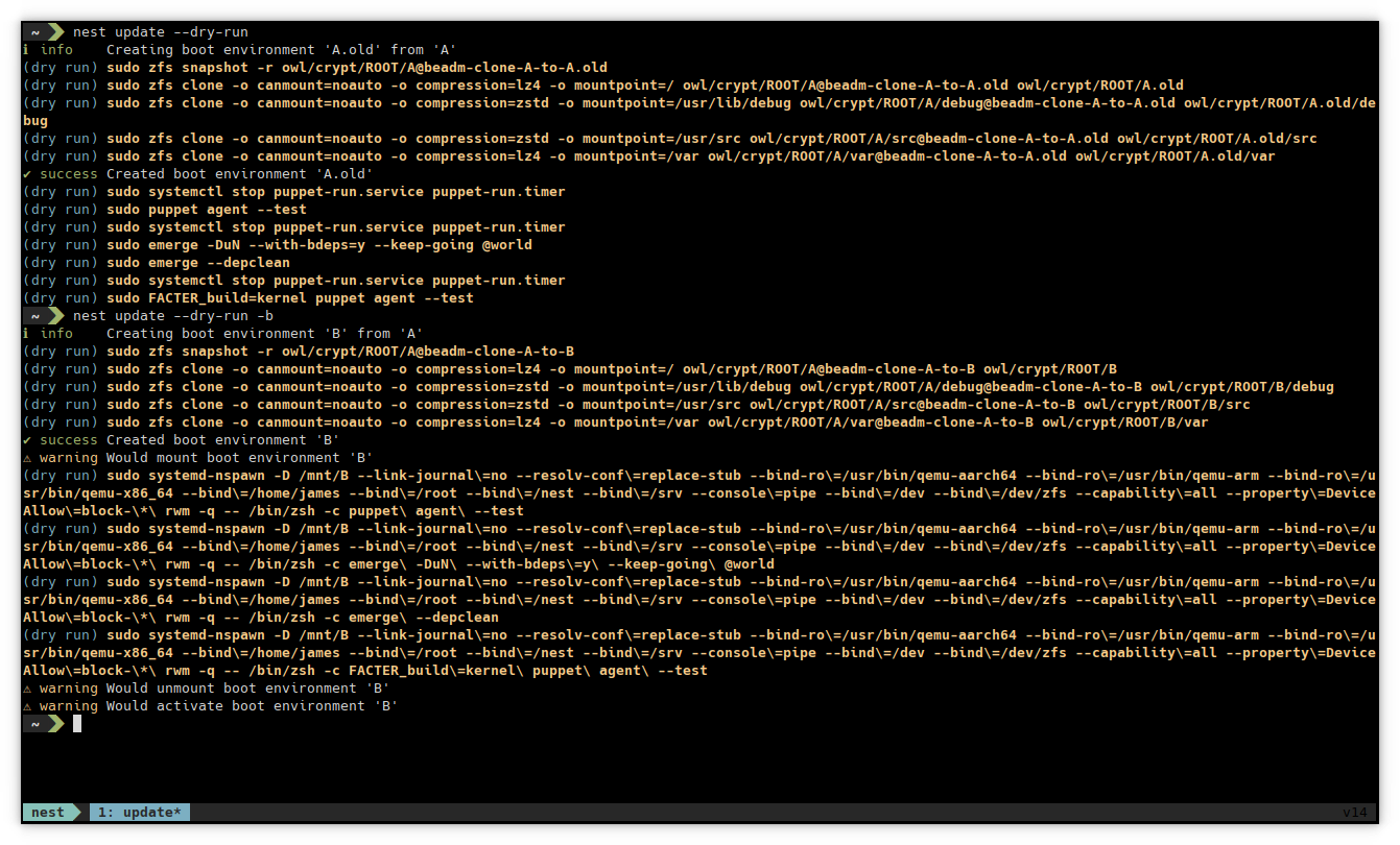 Nest CLI Update Screenshot